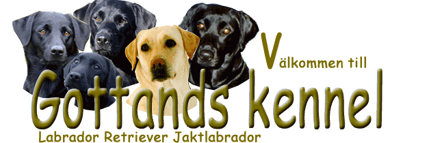 Gottands kennel